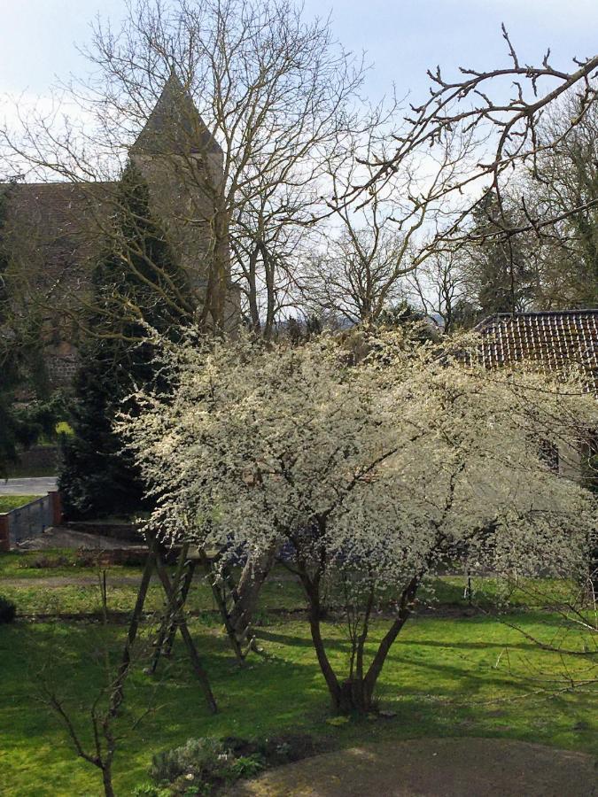 Ferienwohnung Kastanienblick Oder Parkblick, Oder Unser Radlerzimmer! Ziethen  Kültér fotó