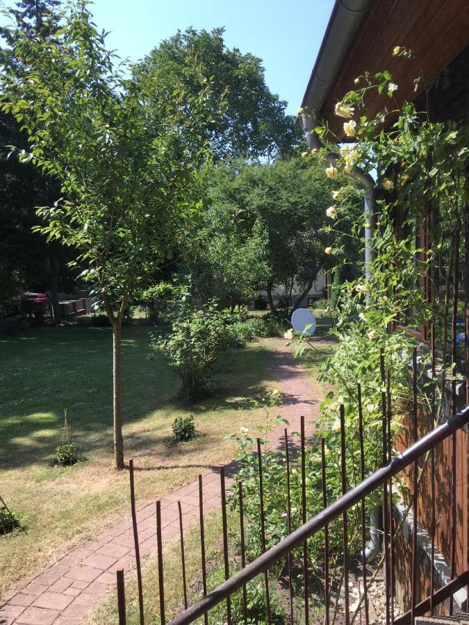 Ferienwohnung Kastanienblick Oder Parkblick, Oder Unser Radlerzimmer! Ziethen  Kültér fotó